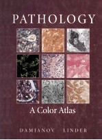 PATHOLOGY A COLOR ATLAS