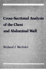 Cross-Sectional Analysis of the Chest and Abdominal Wall
