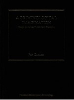 A CRIMINOLOGICAL IMAGINATION ESSAYS ON JUSTICE