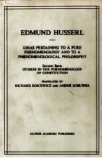 Studies in the phenomenology of constitution