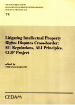LITIGATING INTELLECTUAL PROPERTY RIGHTS DISPUTES CROSS-BORDER:EU REGULATIONS