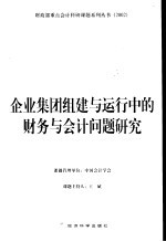 企业集团组建与运行中的财务与会计问题研究