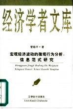 宏观经济波动的微观行为分析 信息范式研究