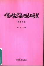 中国地区发展回顾与展望 湖北省卷