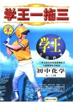 学王一拖三 学王·方法档案 中学化学 初三 上学期