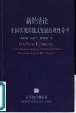 新经济论 中国实现跨越式发展的理性分析