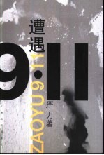 遭遇9·11