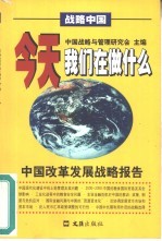 今天我们在做什么 中国改革发展战略报告