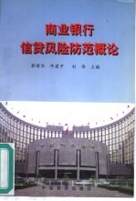 商业银行信贷风险防范概论