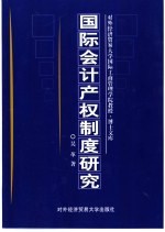 国际会计产权制度研究