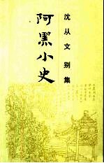 阿黑小史