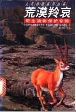 荒漠羚哀