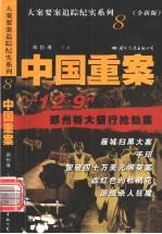 中国重案 8
