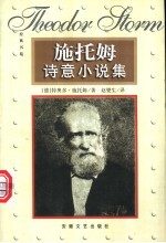 施托姆诗意小说集 上