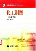 化工制图 化工工艺类