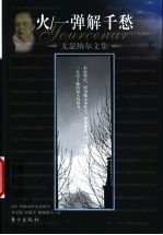 火 一弹解千愁