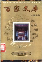 小说方阵 向本贵卷