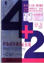 4+2 什么对企业真正有效