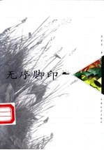 无序脚印