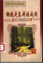 钢铁是怎样炼成的