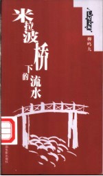 米拉波桥下的流水