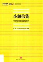 小额信贷 互联网微金融时代