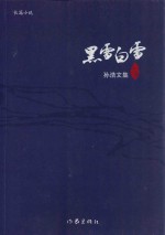 黑雪白雪 孙浩文集 十卷