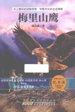 动物小说大王沈石溪自选精品集 梅里山鹰 升级版