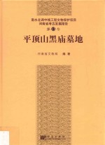河南省考古发掘报告 平顶山黑庙墓地 第13号