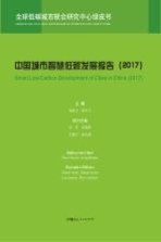 中国城市智慧低碳发展报告 2017版