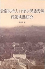 云南扶持人口较少民族发展政策实践研究