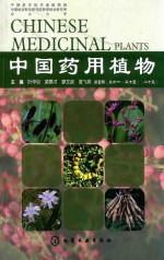 中国药用植物 第5辑 21-25 25