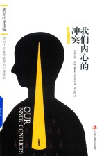 我们内心的冲突 武志红导读版