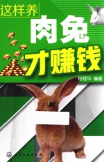 这样养肉兔才赚钱