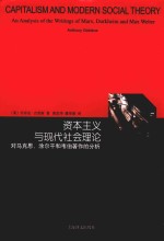 资本主义与现代社会理论 对马克思、涂尔干和韦伯著作的分析