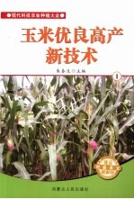 玉米优良高产新技术 1