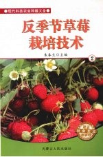 反季节草莓栽培技术 2