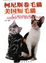 柯尼斯卷毛猫·美国短毛猫