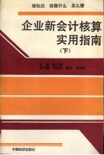 企业新会计核算实用指南 下
