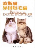 波斯猫·异国短毛猫