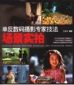 单反数码摄影专家技法 场景实拍