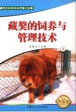 藏獒的饲养与管理技术 1