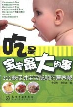 吃是宝宝最大的事 300款促进宝宝聪明的营养餐