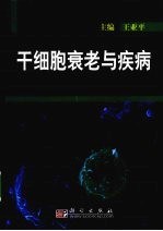 干细胞衰老与疾病