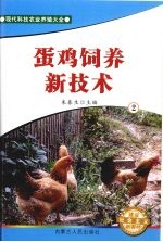 蛋鸡饲养新技术 2