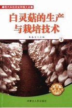 白灵菇的生产与栽培技术 2