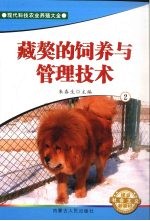 藏獒的饲养与管理技术 2