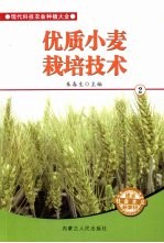 优质小麦栽培技术 2