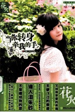 当你转身牵我的手 花火精装版