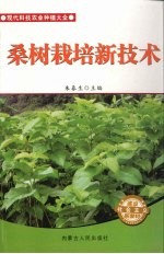 桑树栽培新技术